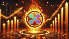 国内DEX交易所有哪些平台?XBIT单周78亿血洗市场