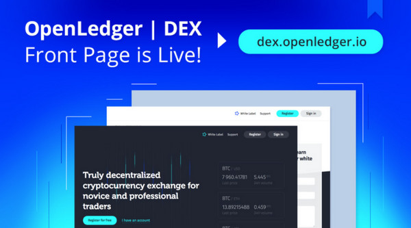 dex编程语言是什么
